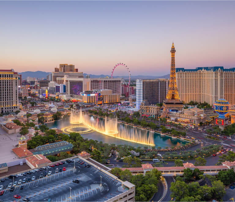 Lorem ipsum dolor sit amet consectetur adipiscing elit